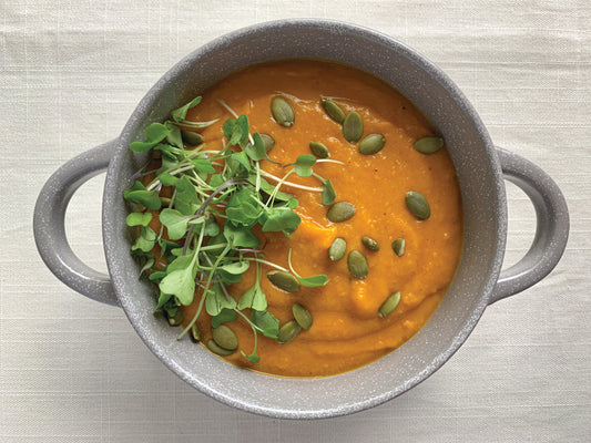 Butternut Squash Soup