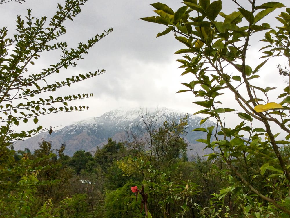 A farm in Himachal, Pradesh with with the mountains behind it.