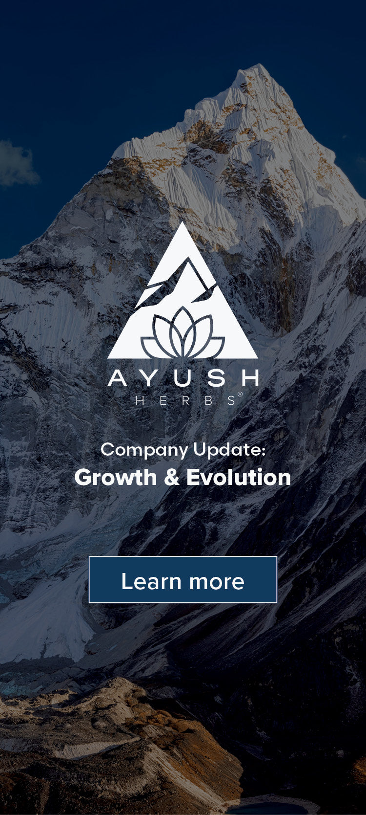 Ayush Herbs company update header.