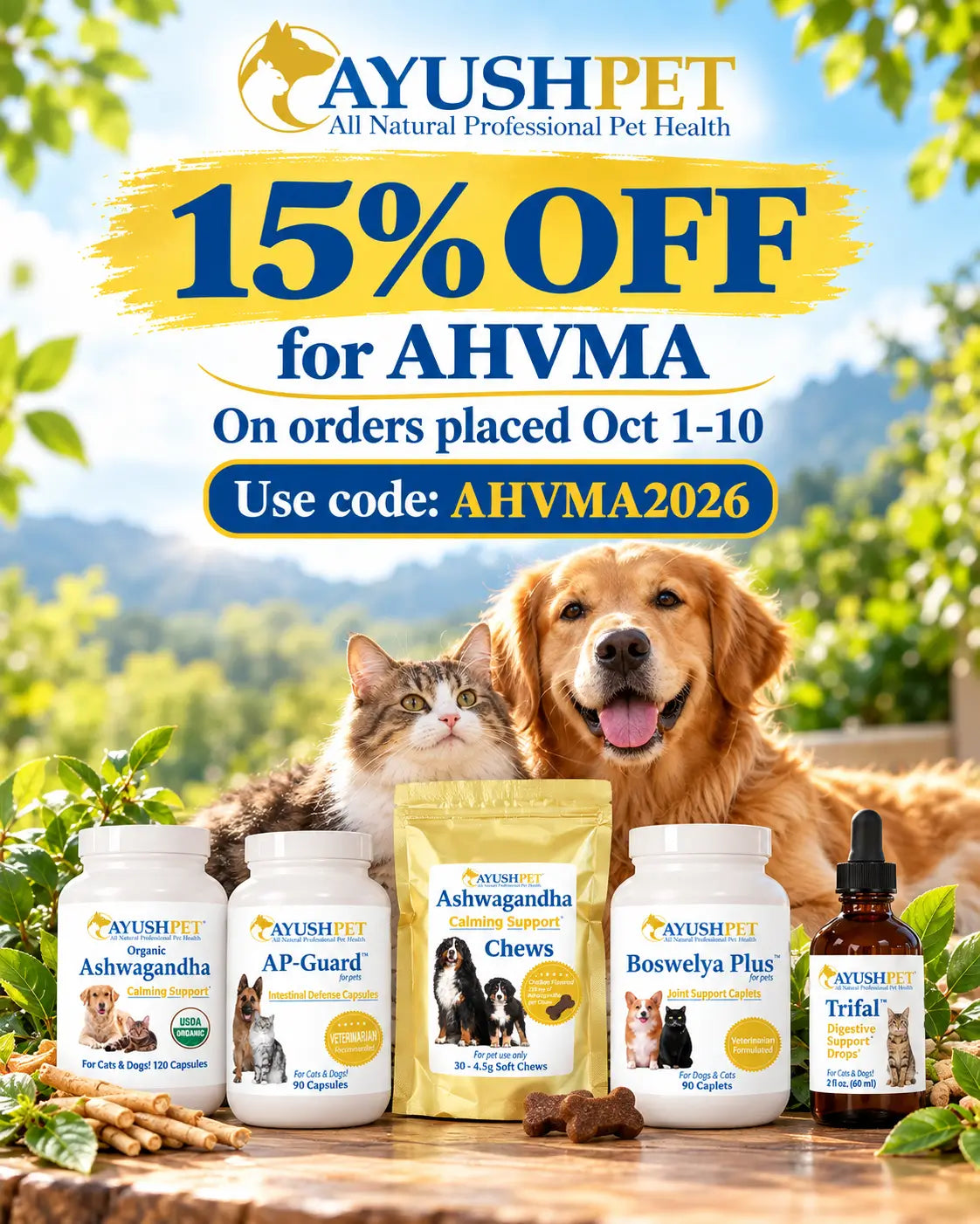 AHVMA HERO IMAGE