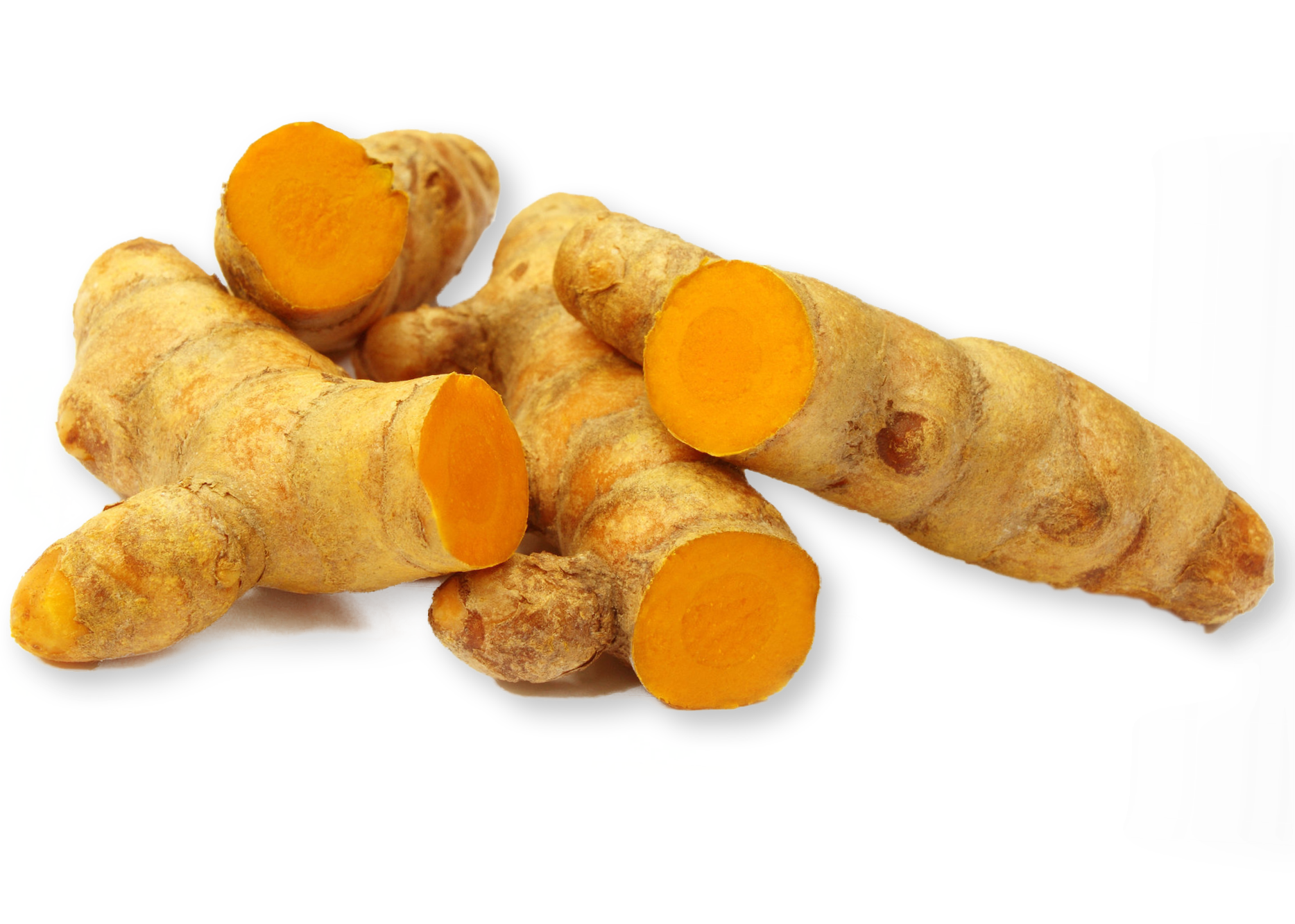 Turmeric root plant image by Ayush herbs herbal supplements