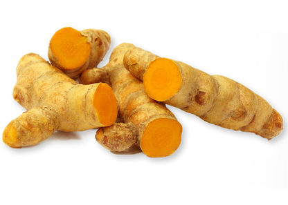 Turmeric root plant image by Ayush herbs herbal supplements